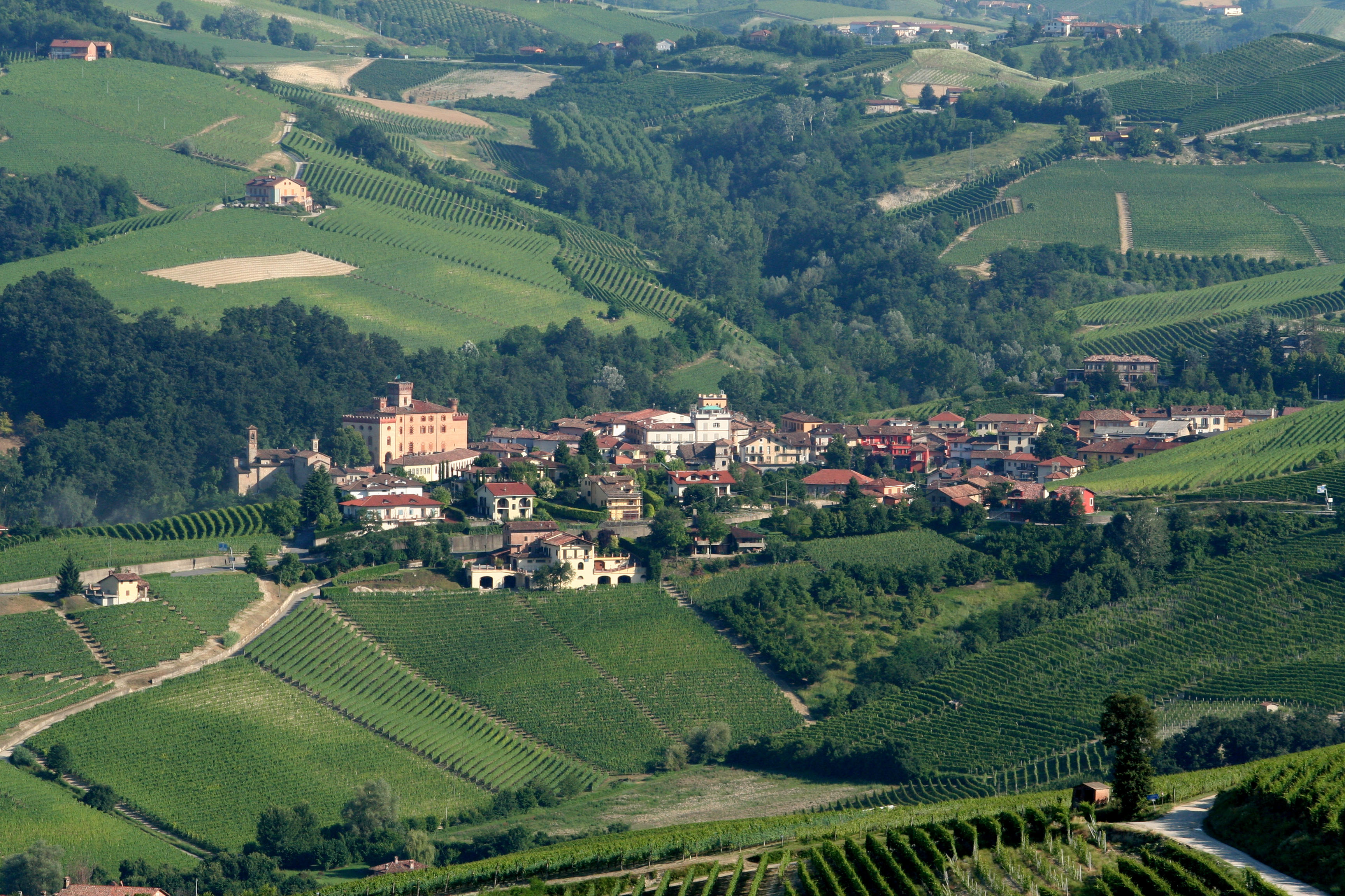 Piemonte Barolo_-_view_from_La_Morra_in_Piemonte,_Italy