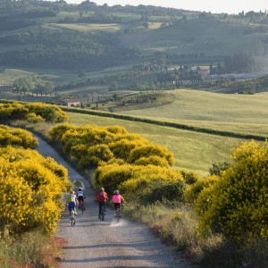 LBH ADLER_SPA_RESORT_Toscana_bike_tour_2